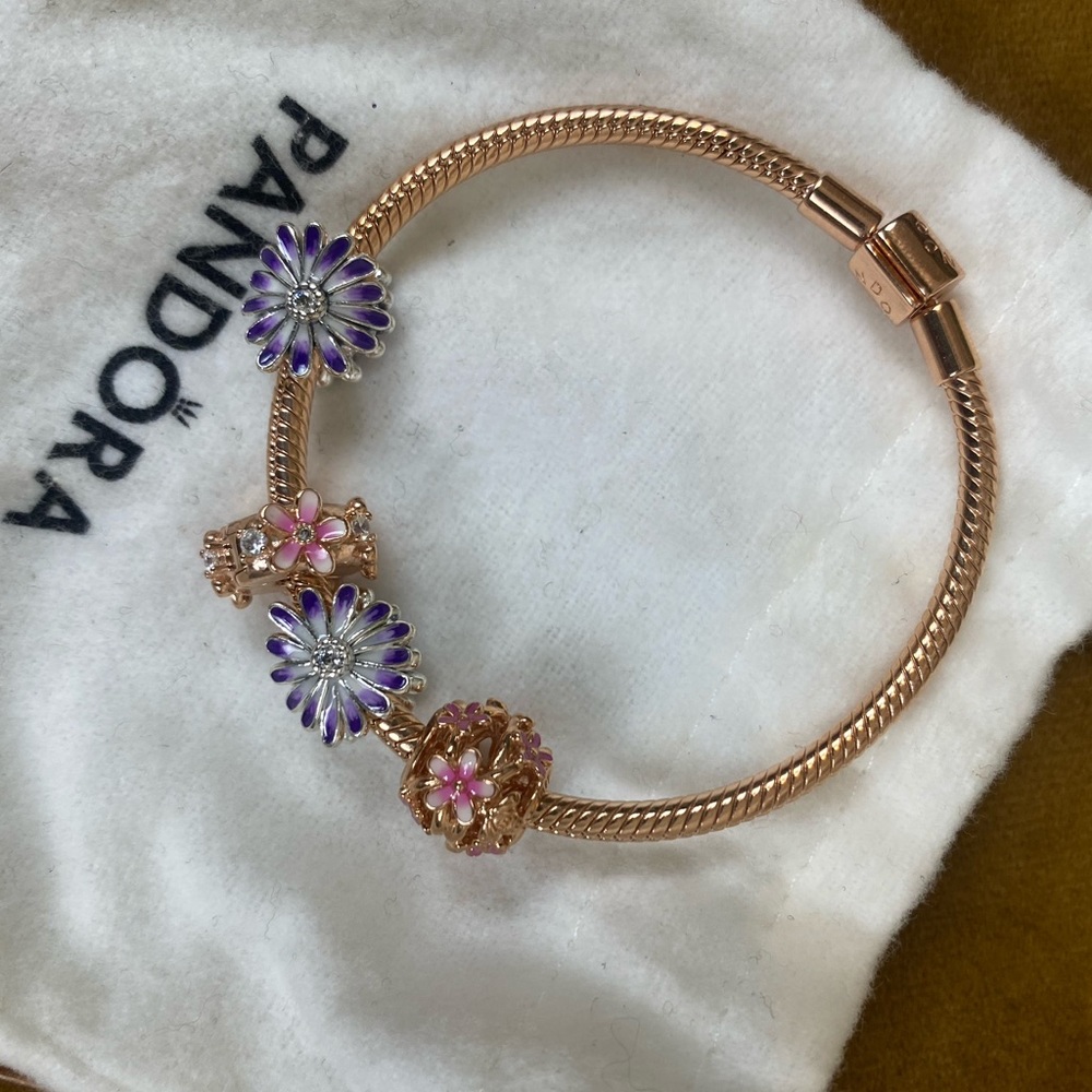 Pandora Rose Gold Bracelet with Charms and Necklace